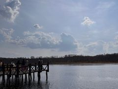 -御道口草原森林风景区