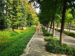 -上海长兴岛郊野公园