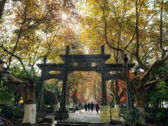 -杭州黄龙洞