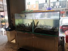 -本炙炭烤·蒲烧活鳗料理店(金沙洲店)