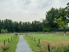 -汉长安城未央宫国家考古遗址公园