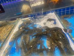 -加餐海鲜自助餐厅(福清万达店)