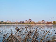 -莲花池公园