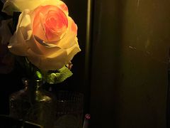 -Mx.cocktail bar