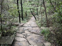 -老象峰