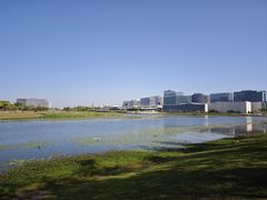 -春花秋色城市公园