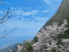 -崂山仰口游览区