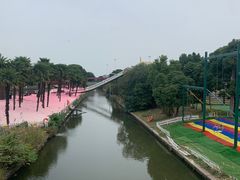-苏州太湖西山岛开心农场