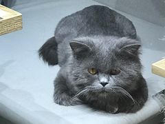 -小时光咖啡馆(开森度假森林店)