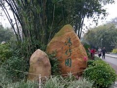 -晓港公园