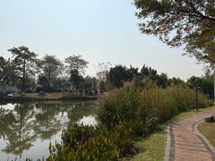 -飞来湖湿地公园