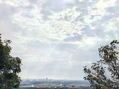 -上海佘山国家森林公园西佘山园