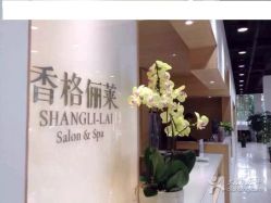 点击看大图 1-CARR SALON