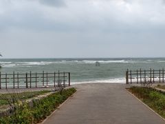 -东郊椰林