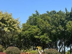 -白鹭洲公园