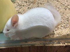 -宠物世家(仲盛世界商城店)