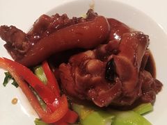 -歌诗达邮轮(宝杨路码头)