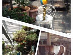 -The Grounds of Alexandria