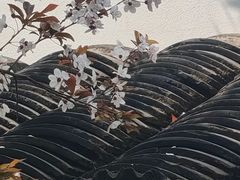 -江宁织造博物馆