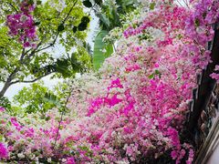 -深圳国际园林花卉博览园