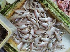 -隆都四季香饭店(碧海路店)