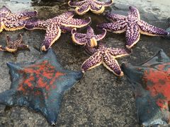 -北戴河东海水浴场