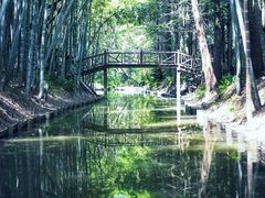 -同里国家湿地公园