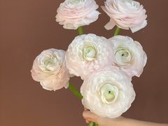 -煲煲好(朝阳门店)