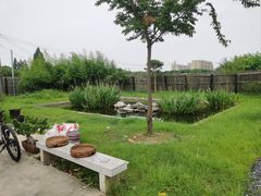 -南汇新场正宗水蜜桃采摘