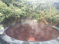 -仁爱团泊湖温泉中心