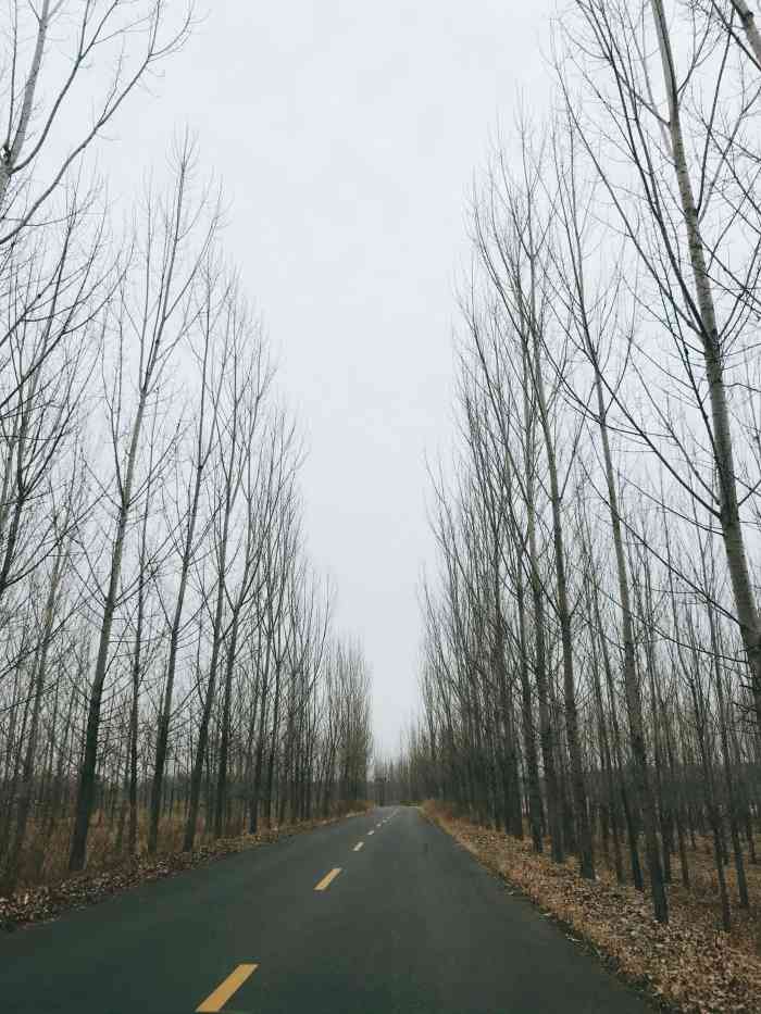 大风口水库-"常来这个水库玩,可以钓鱼,还能看水鸭,挺.