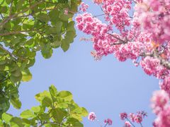 -天龙八部武侠城