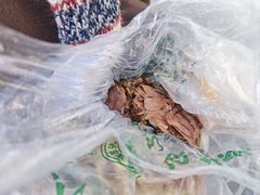 酱牛肉-洪记白水羊头(天坛店)