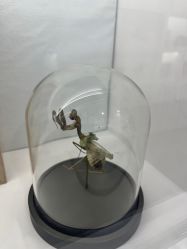 -酷嗒动物文化乐园(cutezoo西溪乐天城店)