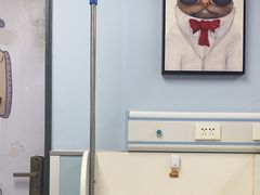 -纳吉亚猫专科动物诊疗中心(蒋宅口分院)