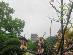 -梵天禅寺