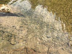 -龙湾潭国家森林公园