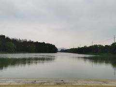 -苏州太湖国家湿地公园