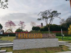 -红花山公园