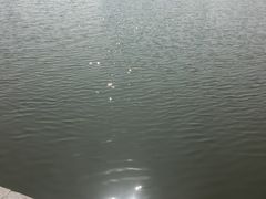 -映月湖中央公园