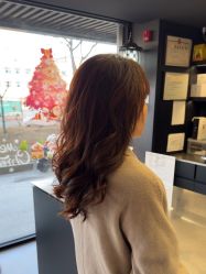 -付军剪艺JF ProSalon