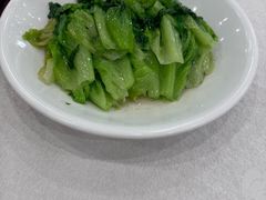 -姚林轩