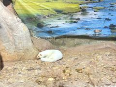 -苏州海洋馆