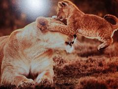 -罗红摄影艺术馆