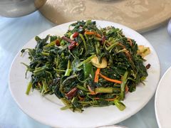 -中原农家乐(中原饭店)