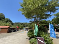 -广州白江湖森林公园