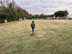 -前小桔亲子创意农场·草莓采摘·露营烧烤