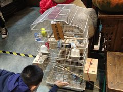 -玉桥餐厅(天坛店)