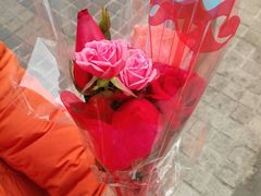 -招商银行(北京富力城支行)