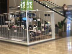 -奈雪的茶(市百一店)